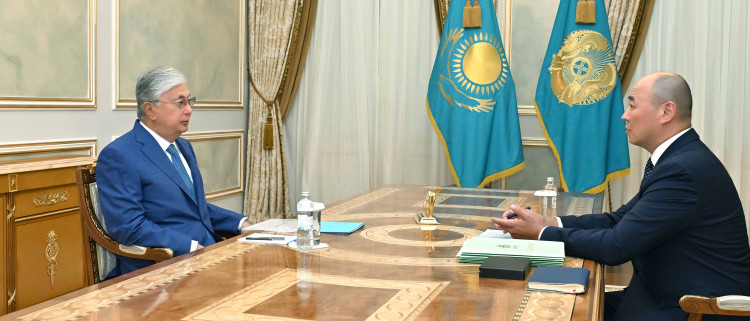 The head of state received the Chairman of the Board of Baiterek National Holding JSC Kanat Sharlapaev